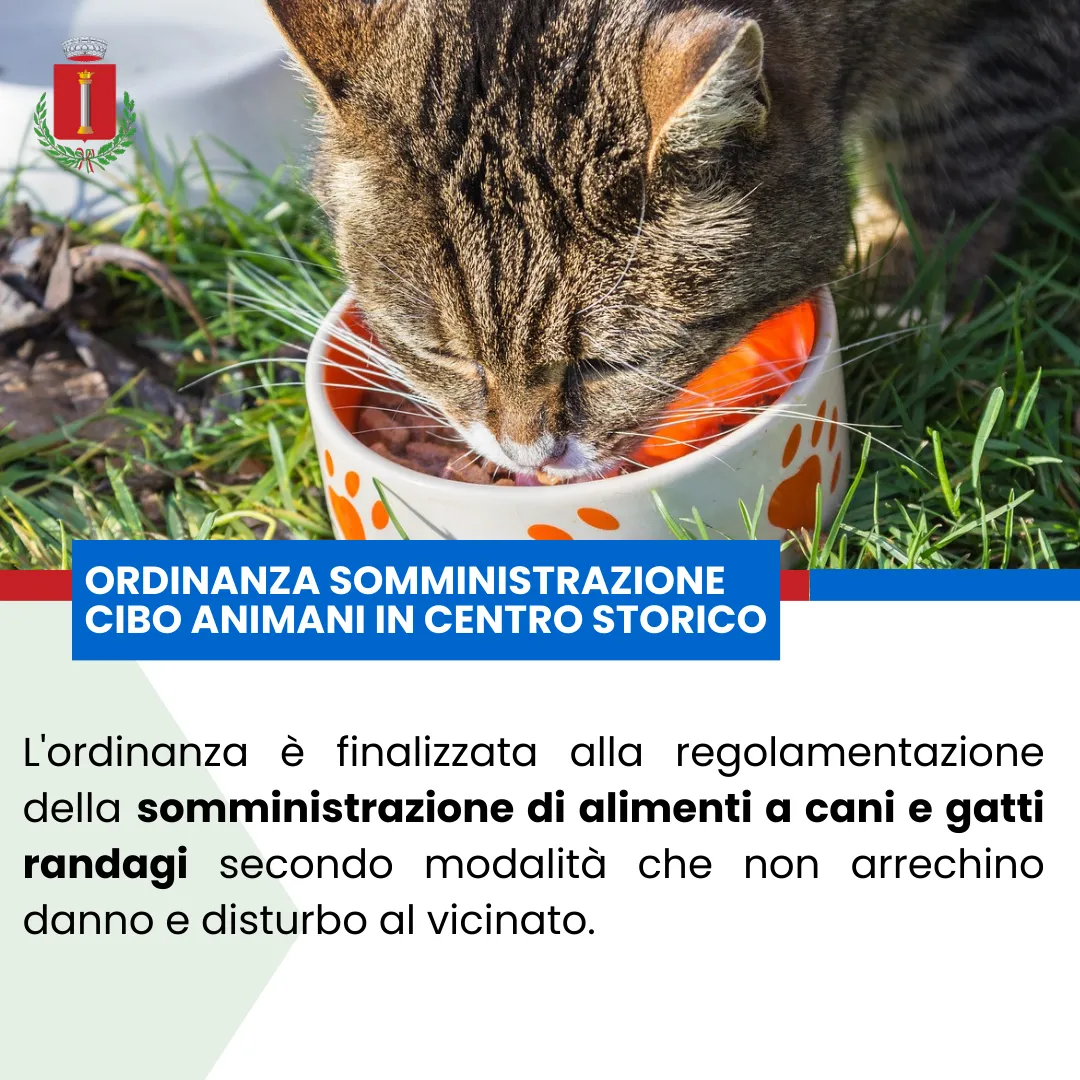 Ordinanza Sindacale N. 5 del 04.07.2023: Disposizioni in materia di somministrazione di cibo agli animali in centro storico