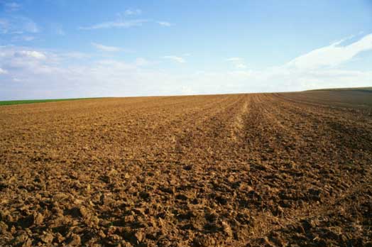 Workshop 4 luglio 2016 "+ Sostegno all'agricoltura = + Valore al territorio"
