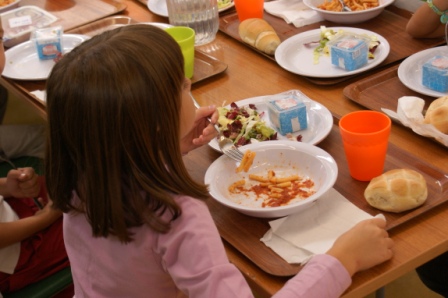 Menù refezione scolastica a.s. 2016-17