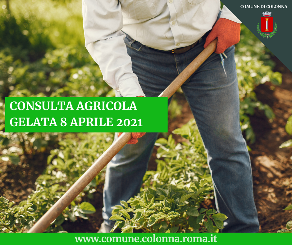 CONSULTA AGRICOLA COMUNE DI COLONNA: Gelata 7-8 aprile 2021