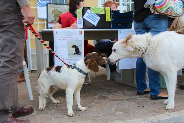 Ultimi giorni per prenotarsi alla giornata di microchippatura canina