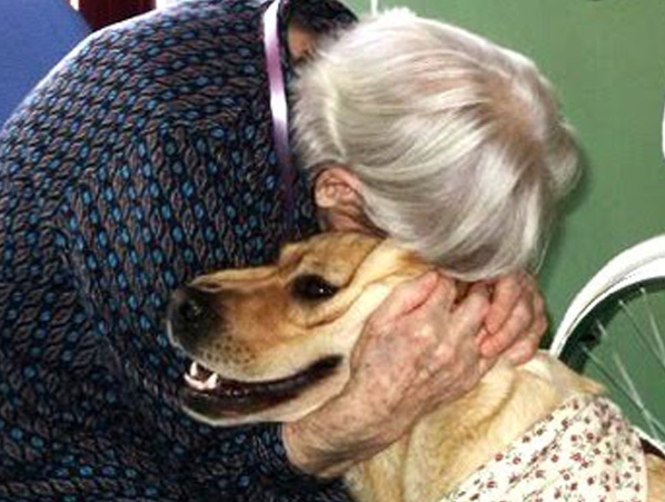 Regolamentazione dell'utilizzo dell'area per la sgambatura dei cani