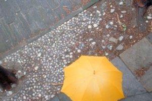 Allertamento protezione civile regionale del 18/05/2016